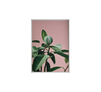 INART Πίνακας Με Πλαίσιο Printed Pl/Mdf Φυτό 3-90-763-0081